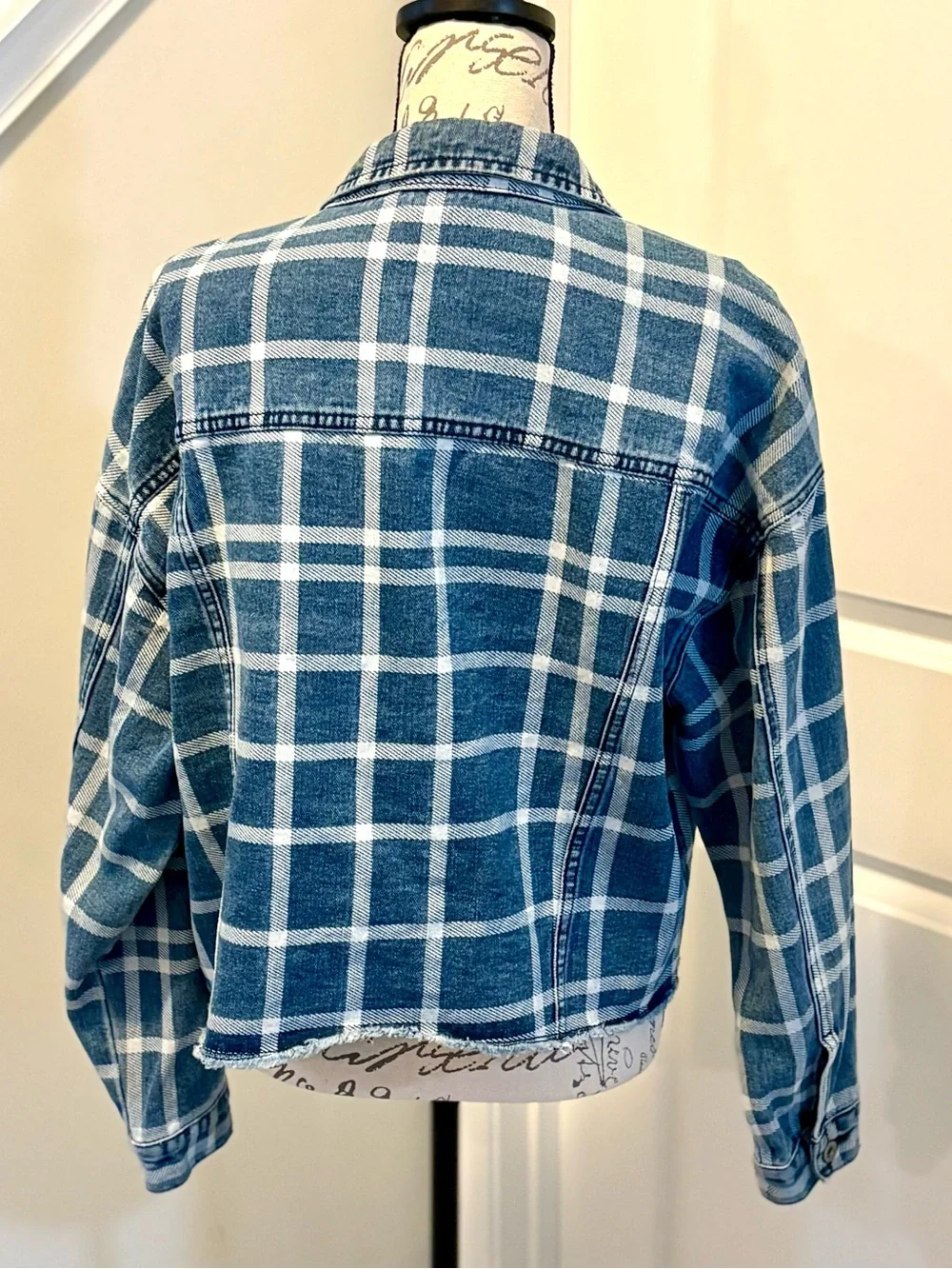 Lior Paris Plaid Denim Jacket Large Frayed Hem Button Front Shacket Blue